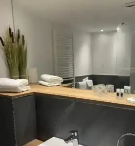 Hotel-Restaurant Amadeus - 8