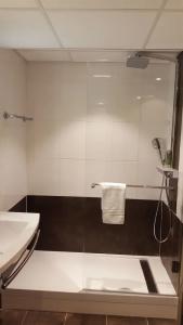 Mercure Colmar Centre Unterlinden - 100