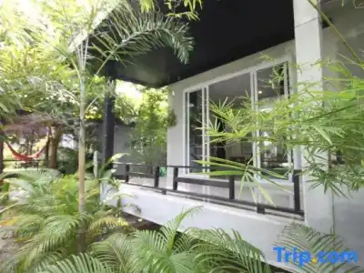 Phangan Cove - 63