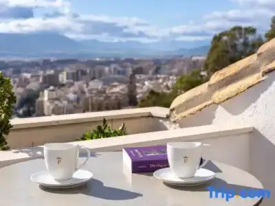 Parador de Malaga Gibralfaro - 54