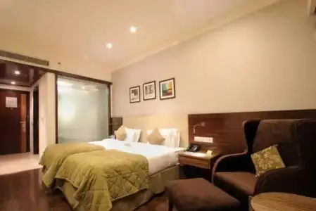 The Golden Palms & Spa Delhi - 6