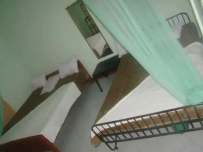 ALP Guest - 13