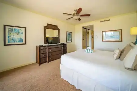 Kapalua Villas Maui - 310