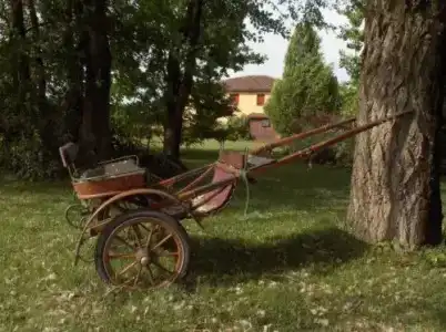 Fondo Catena - 4