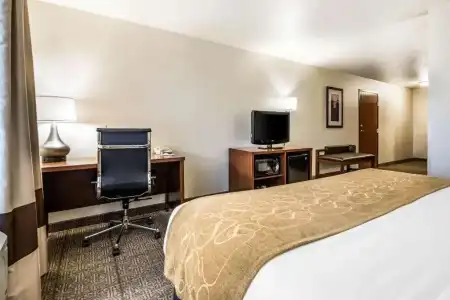 Comfort Suites at Par 4 Resort - 53