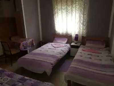 Guest House Dragomir - 14