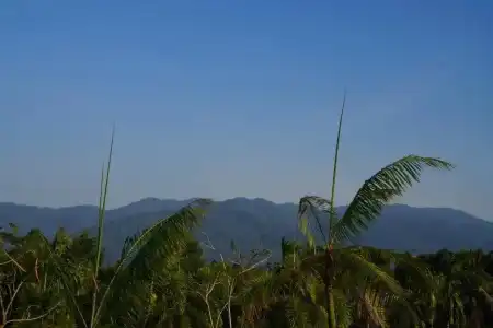IP Plus Resort Chanthaburia - Halal - 135