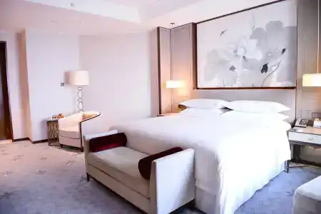 Sheraton Shanghai Jiading - 5