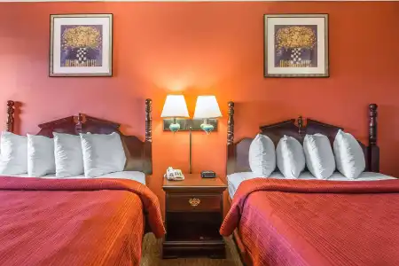 Quality Inn & Suites Macon North - 2