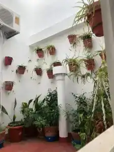 Hostal del Sol - 25