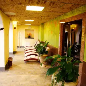Toila Spa - 32