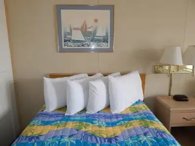 Sun N Fun Motel - 1