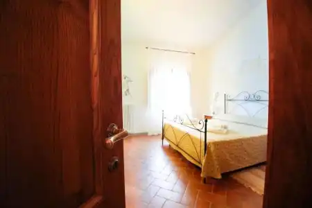 Gatto Bianco Tizzauli - 38