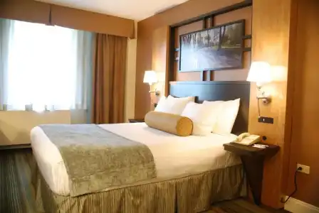 Best Western Queens Gold Coast - 60