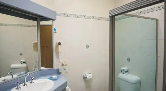 Palm Court Motor Inn - 8
