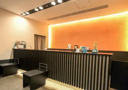 Sotetsu Fresa Inn Ochanomizu Jimbocho - 3