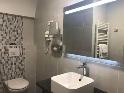 Hôtel Bellevue - 68