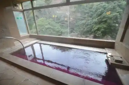 Arima Onsen Gekkoen Yugetsusanso - 16
