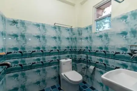 Sauraha Resort - 15