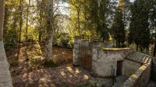 Agriturismo I Bonsi - 235