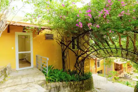 Mango Beach Resort - 103