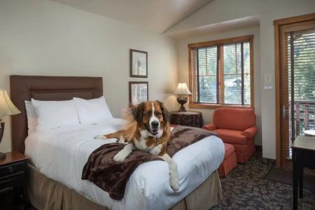 The Telluride - 65