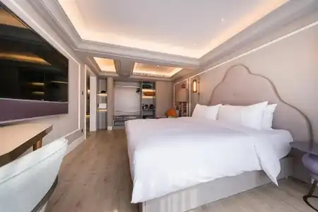Mercure Xi'an Downtown - 103