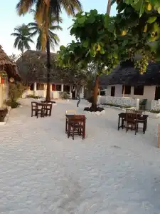 Coco Beach - 15