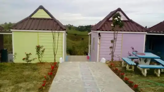 Lovely Farm - 47