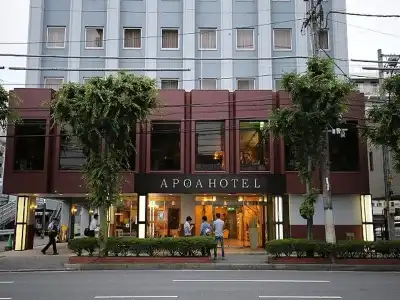 Apoa - 20