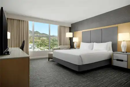 Hilton Los Angeles North/Glendale - 37