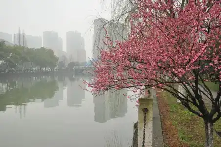 Xiang Yuan Zhejiang - 20