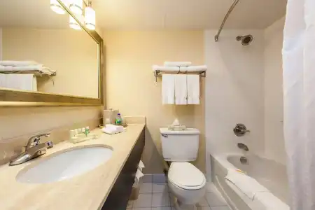 Holiday Inn Laval Montréal by IHG - 44