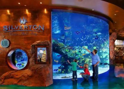 Silverton Casino Lodge - Newly Renovated - 19