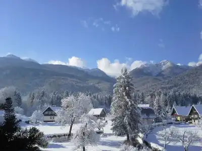 Gasperin Bohinj - 46
