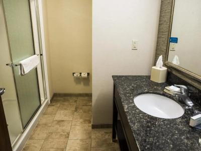 Lake Placid Inn Boutique - 43