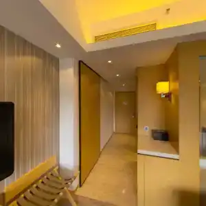 Hyatt Regency Hong Kong, Sha Tin - 52