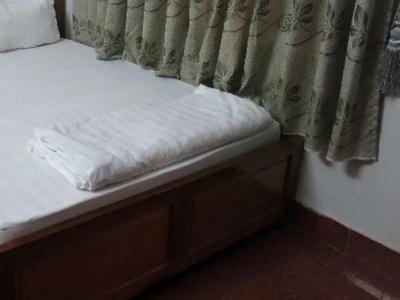 Lilly Palace Villa Guest House - 4