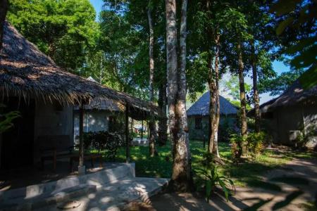 The Tropical Beach Resort - 52