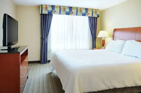 Hilton Garden Inn Toronto/Burlington - 5