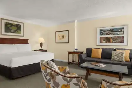 Maison Dupuy - 36