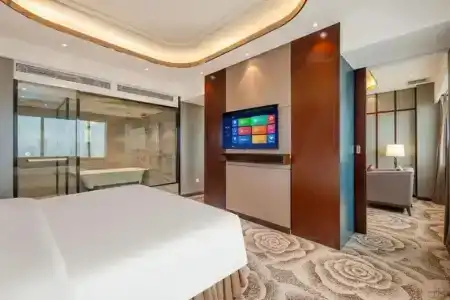 Telecom International - 8