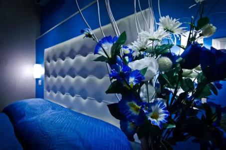 Londrino Sanremo - 40