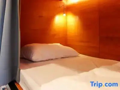 Tropical Summer Hostel - 61