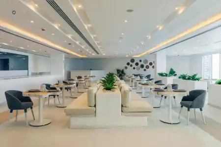 Tanoak - 14
