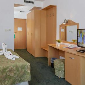 Mena Palace - All Inclusive - 38