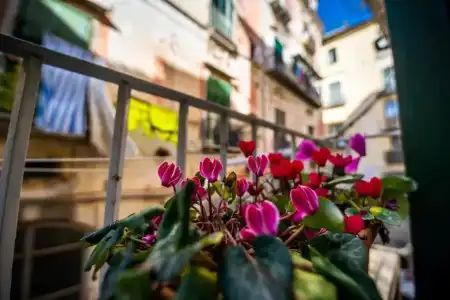 B&B Terre Dipinte - 10