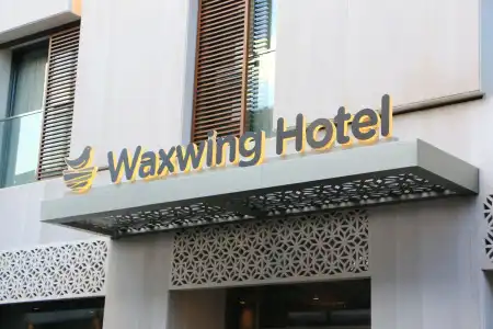 Waxwing - 0