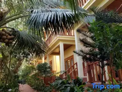 Free Beach Resort - 58