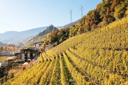 Weingut und GenussSpitalerhof - 14